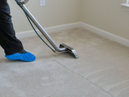 person removing water from carpet