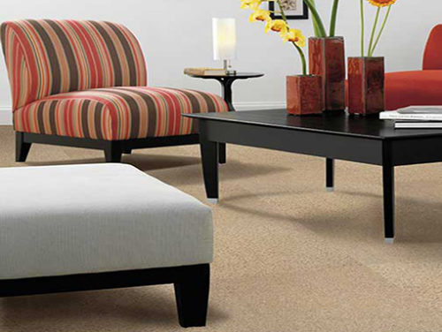 commercial carpet cleaning Plano TX